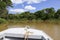 Typical Pantanal river view from boat, Pantanal Wetlands, Mato Grosso, Brazil