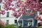 Typical Parisian building and cherry blossom trees