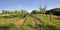 A typical place in the landscape of Weinviertel, the north-east part of Lower Austria