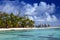 Typical Polynesian landscape - seacoast with palm trees and small houses