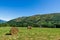 Typical Pyrenean landscape in the Aure valley. amazing view on the mountains