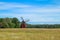 The typical red Swedish windmill standing in the fields full of grain.