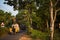 A typical road in an Indian village. Auto rickshaw, truck and motorcycle among tropical greenery a