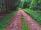 Typical Roadway Within Luther Marsh Conservation Area