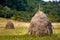 Typical Romanian haystacks