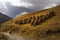 Typical Romanian haystacks and the cyclist