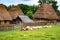 Typical Romanian village with old peasant houses