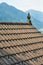 Typical roof of a traditional rural Swiss house