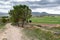 Typical rural landscape of La Alcarria a cloudy day