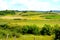 Typical rural landscape in the plains of Transylvania, Romania