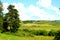 Typical rural landscape in the plains of Transylvania, Romania