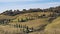 Typical rural landscape of the Tuscan countryside south of Siena, Italy, with cypresses bordering the dirt road