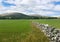 Typical scenery in Burren National Park, Ireland.