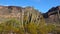 Typical scenery in Organ Pipe Cactus National Monument, with Organ Pipes, Saguaro and Ocotillo plants. Arizona