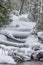 Typical snow scene in Yellowstone national park in winter.CR2