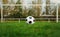 Typical soccer ball on the free kick marking line in front of stadium gate. Traditional football ball on the green grass turf