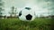 Typical soccer ball on the free kick marking line, outdoors on the stadium field. Traditional football ball on the green grass