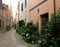 Typical south European narrow lane with a lot of green plants