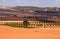 Typical Spanish rural landscape