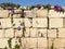 Typical stone fence with flowers alongside roads in Malta