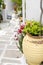 typical street scene with geraniums in pot stone streets with white paint Lefkes, Paros Greek Island, Cyclades, Greece