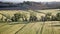 Typical summer landscape in Tuscany