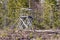 Typical Swedish small wooden tower at the edge of forest for autumn hunting of moose which coming to clean cutted forest areas.