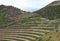 Typical terraces of the Incas