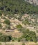 Typical terraces of Mallorca