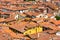 Typical terracotta roofs in Lucca