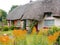 Typical thatched roof cottage in Ireland