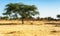 Typical thatched roof village in the countryside of Senegal, West Africa