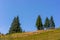 Typical Transylvanian mountains, lonely tree and wooden fence on the hillside, Bihor Mountains, Carpathian Mountains