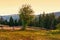 Typical Transylvanian mountains, lonely tree and wooden fence on the hillside, Bihor Mountains, Carpathian Mountains at sunrise