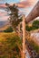 Typical Transylvanian mountains, lonely tree and wooden fence on the hillside, Bihor Mountains, Carpathian Mountains at sunrise