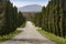 Typical tree-lined avenue with cypress trees in Tuscany