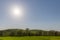 Typical Tuscany Val d`Orcia landscape, with isolated cypress trees on a hill in the middle of green grass and sun