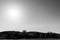 Typical Tuscany Val d`Orcia landscape, with isolated cypresses trees on curvy hills