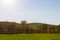 Typical Tuscany Val d`Orcia landscape, with isolated cypresses trees on green curvy hills