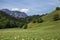 Typical Tyrol landscape, Austria
