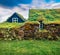 Typical view of Icelandic turf-top houses. Picturesque summer morning in the Skogar village, south Iceland, Europe.