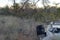 Typical view of secretive and elusive African leopard from safari vehicle at Okonjima Nature Reserve, Namibia