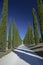 Typical villa in the Italian countryside. Road with cypresses