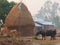 Typical Village, plains of Nepal