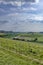 Typical vineyard near Castello di Razzano and Alfiano Natta, Barolo wine region, province of Cuneo, region of Piedmont, Italy