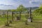 Typical vineyard near Castello di Razzano and Alfiano Natta, Barolo wine region, province of Cuneo, region of Piedmont, Italy