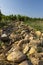 Typical vineyard with stones near Chateauneuf-du-Pape, Cotes du Rhone, France