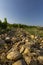 Typical vineyard with stones near Chateauneuf-du-Pape, Cotes du Rhone, France