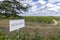 Typical vineyards (1er Grand Cru Classe A) near Chateau Cheval Blanc, Saint-Emilion, Aquitaine, France