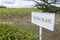 Typical vineyards (1er Grand Cru Classe A) near Chateau Cheval Blanc, Saint-Emilion, Aquitaine, France